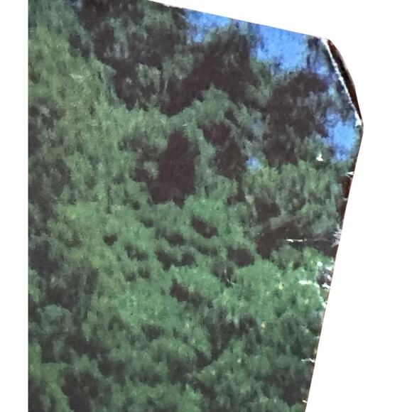 VTG Costa Rica Travel Poster Isla Tortuga Beach Tropical Tourism Original READ - Picture 7 of 10